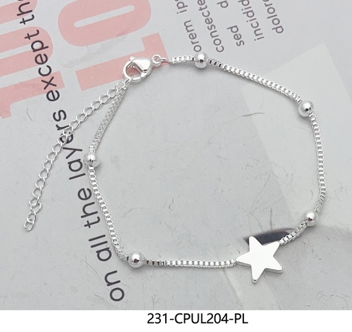 231-CPUL204-PL