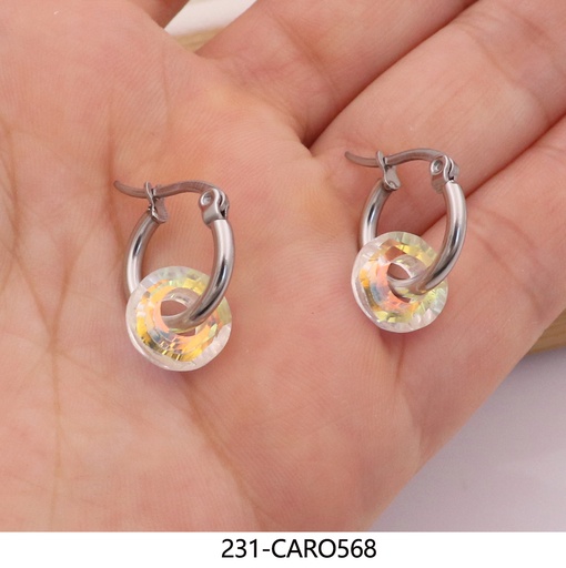 231-CARO568
