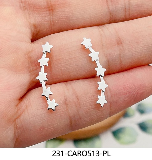 231-CARO513-PL