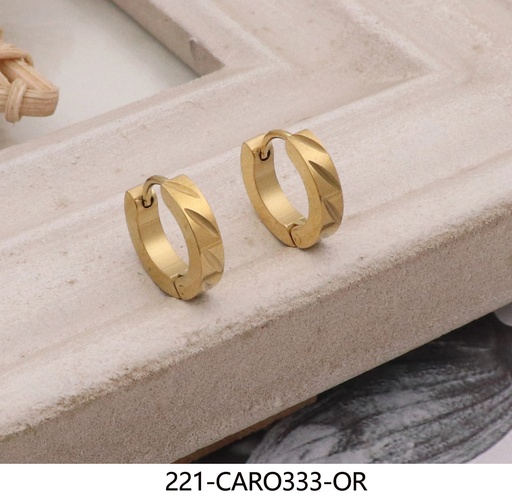 221-CARO333-OR