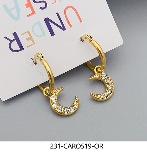 231-CARO519-OR