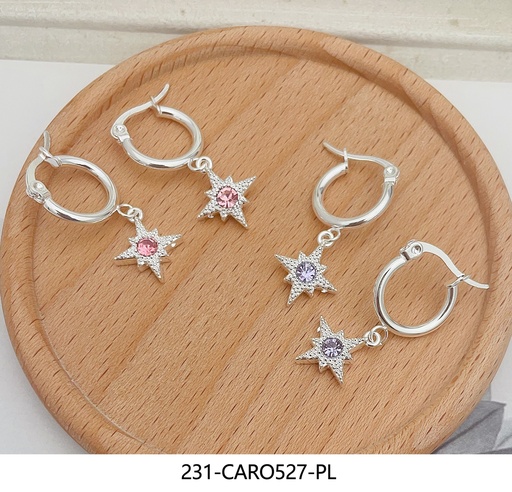231-CARO527-PL