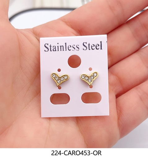 [224-CARO453-OR] AROS