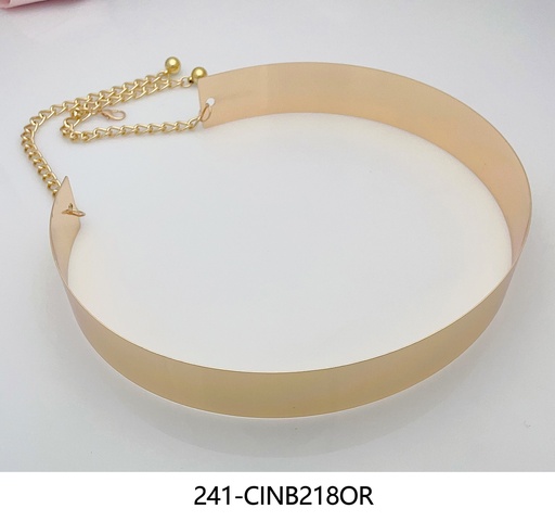 [241-CINB218OR] CINTOS