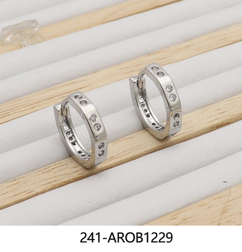 [241-AROB1229] AROS