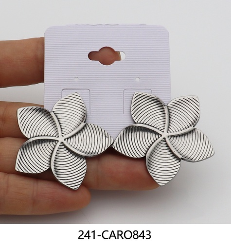 241-CARO843
