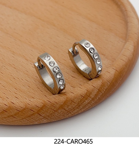 [224-CARO465] AROS