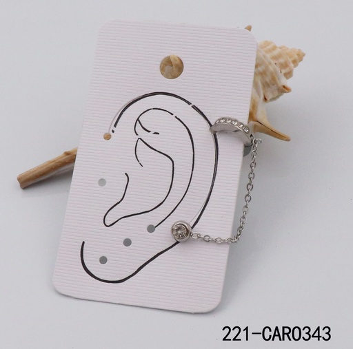 [221-CARO343] 221-CARO343