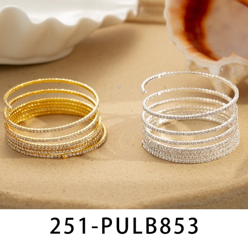 [251-PULB853] Pulsera