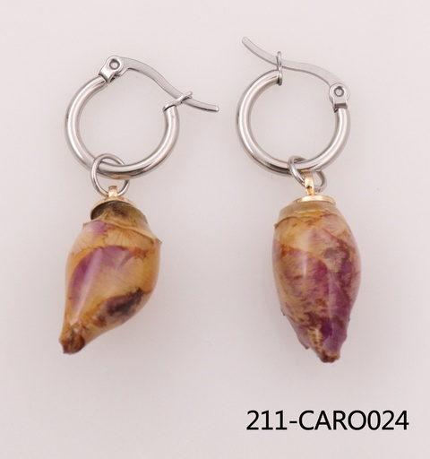 211-CARO024