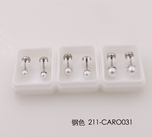 211-CARO031