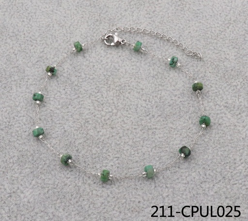 211-CPUL025