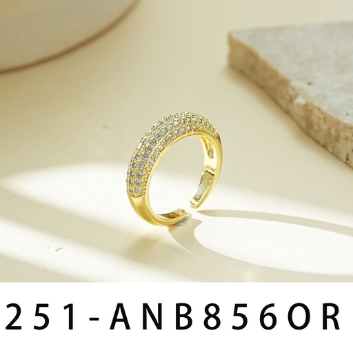 [251-ANB856OR] Anillo