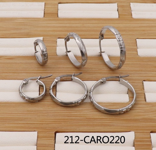 212-CARO220