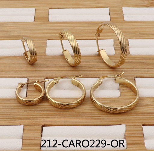 212-CARO229-OR