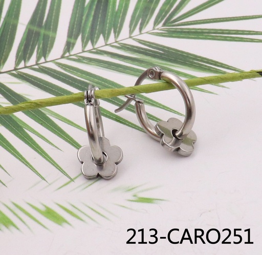 213-CARO251