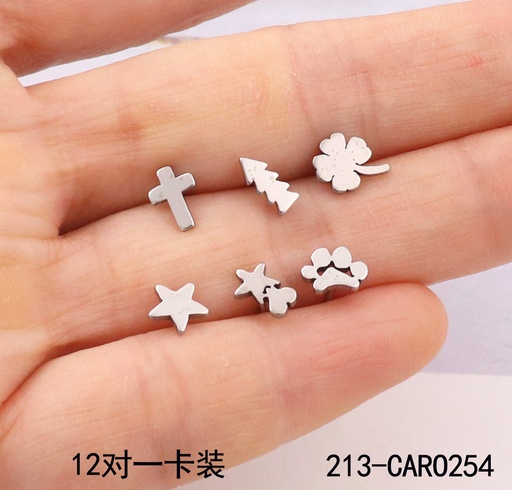 213-CARO254