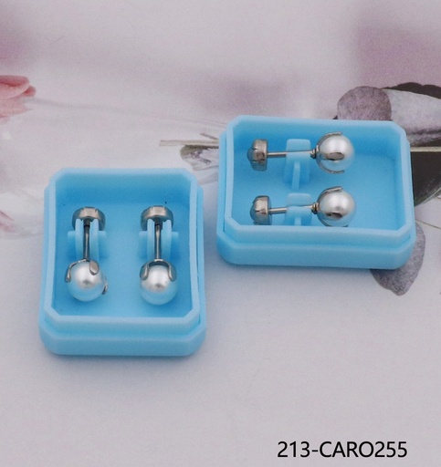 213-CARO255
