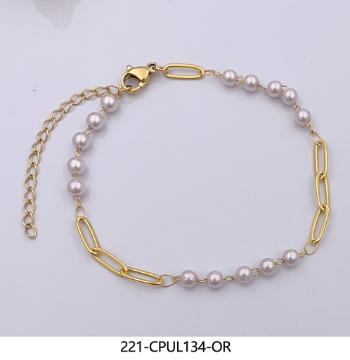 [221-CPUL134-OR] 221-CPUL134-OR